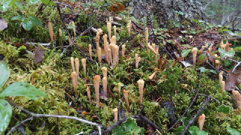 P9261038 (640x360)