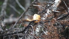 P9271060 (640x360)