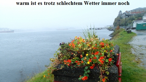 PA080307 (640x360)