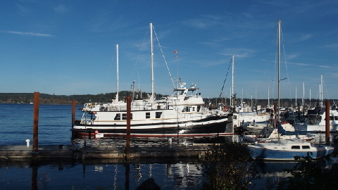 PA141553 (640x360)