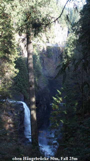 PA161594 (360x640)
