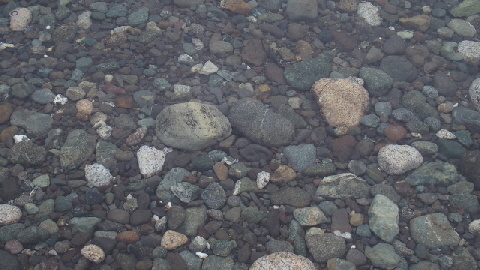 PA171624 (640x360)
