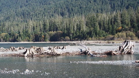 PA181649 (640x360)