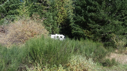 PA181654 (640x360)