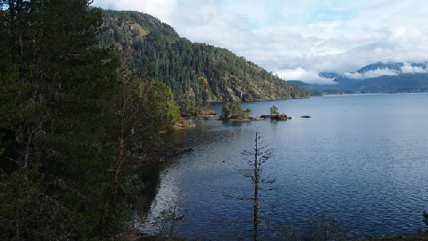 PA211708 (640x360)