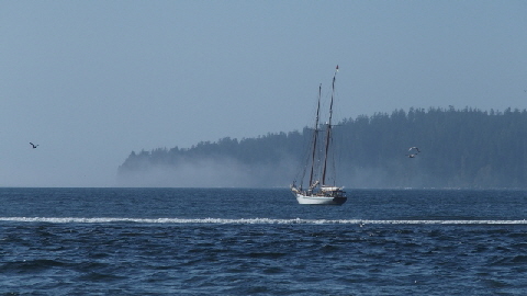 PA221739 (640x360)