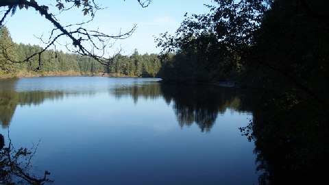 PA231786 (640x360)