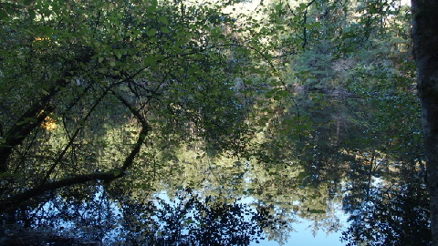 PA231788 (640x360)