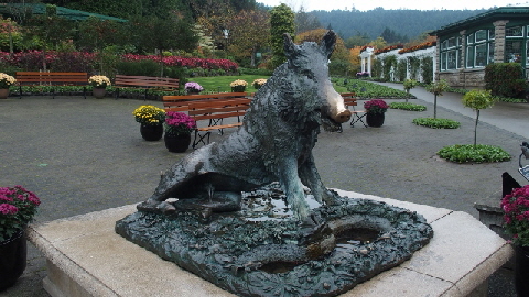 PA241805 (640x360)