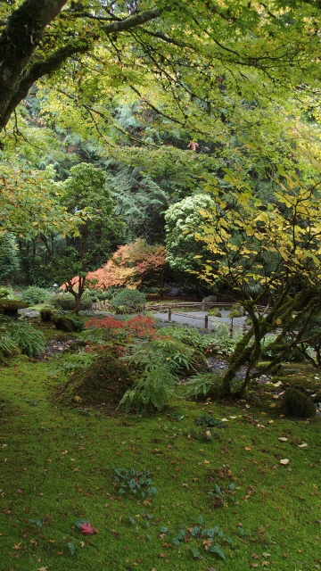 PA241808 (360x640)