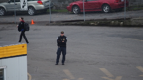 PA261917 (640x360)