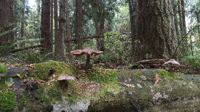 PA282022 (640x360)