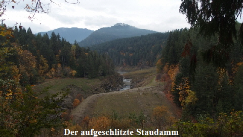 PA282047 (640x360)