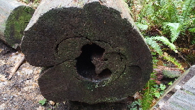 PA292062 (640x360)