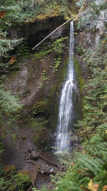 PA292065 (360x640)