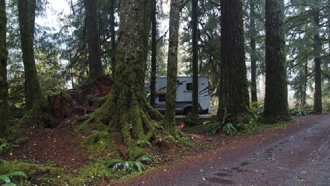 PA302075 (640x360)