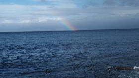 PA302089 (640x360)
