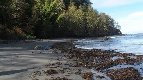 PA302096 (640x360)