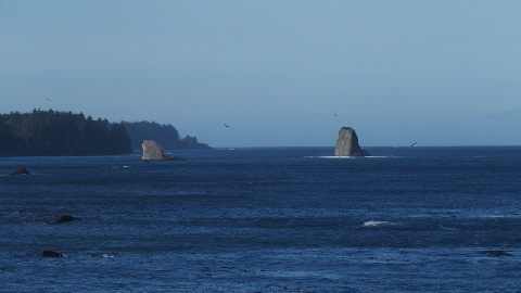 PA302097 (640x360)