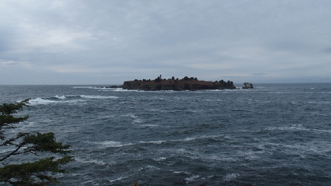 PA302121 (640x360)