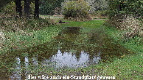 PA312146 - Kopie (640x360)