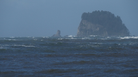 PA312174 (640x360)