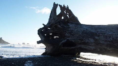 PB022223 (640x360)