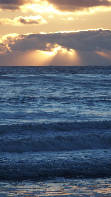 PB022227 (360x640)