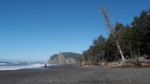 PB032243 (640x360)