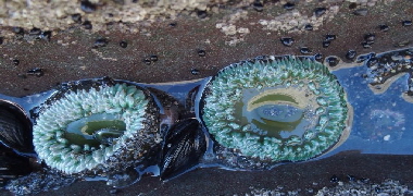 PB032254 (640x360)