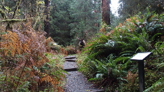 PB042311 (640x360)