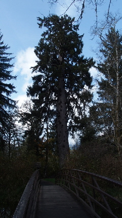 PB052372 (360x640)