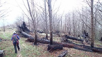 PB070417 - Kopie (640x360)