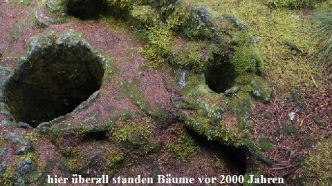 PB090020 (640x360)
