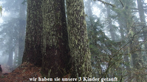 PB090040 (640x360)