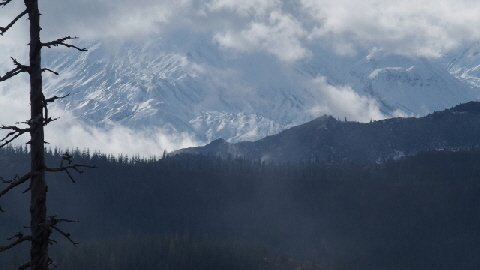 PB100061 (640x360)