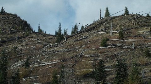 PB100063 (640x360)