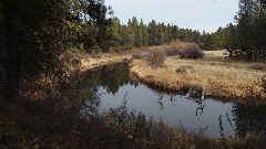 PB160339 (640x360)