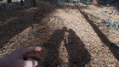 PB160345 (640x360)