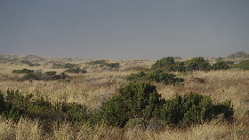 PB180376 (640x360)
