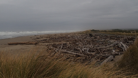 PB180395 (640x360)