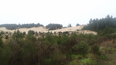 PB190497 (640x360)