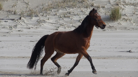 PB200442 (640x360)