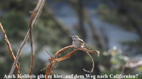 PB220590 (640x360)