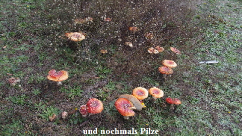 PB230655 (640x360)