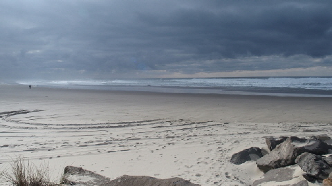 PB230661 (640x360)