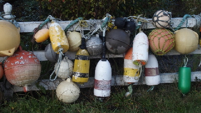 PB240731 (640x360)