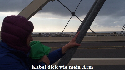 PB240747 (640x360)
