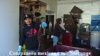 PB250793 (640x360)