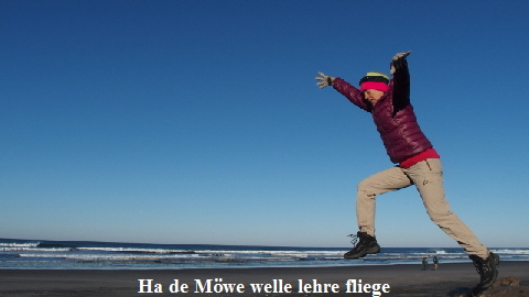 PB281034 (640x360)